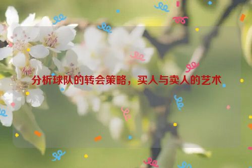 分析球队的转会策略，买人与卖人的艺术